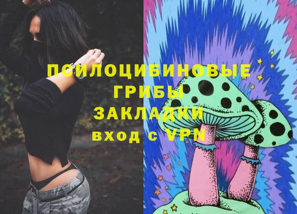 сатива Алексин
