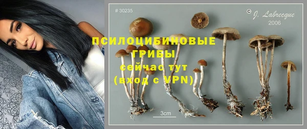 ПСИЛОЦИБИНОВЫЕ ГРИБЫ Алзамай
